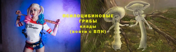 бутик Бородино