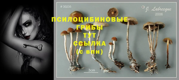 бутик Бородино