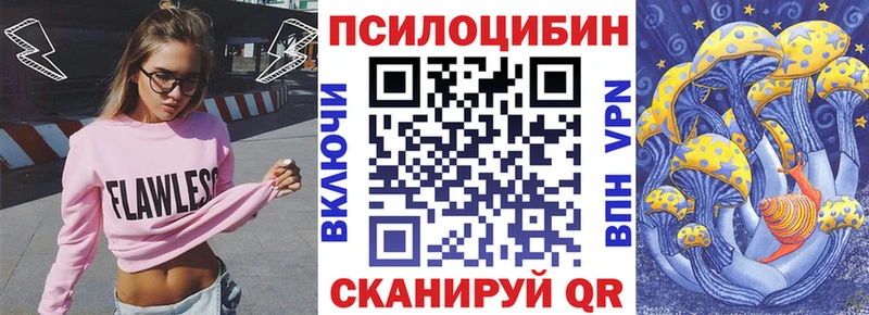 Купить  Санкт-Петербург  Галлюциногенные грибы Cubensis 